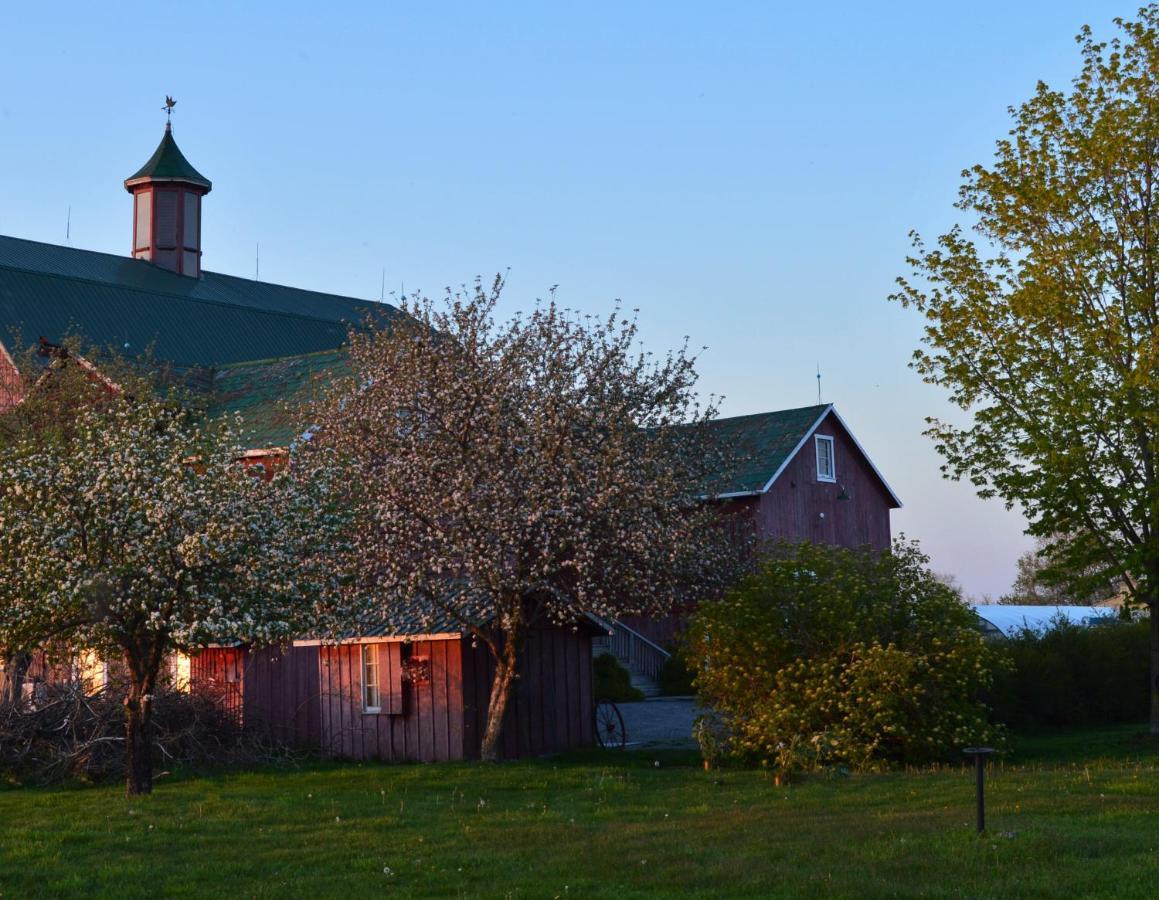 The Eddie Hotel And Farm Bloomfield Kültér fotó